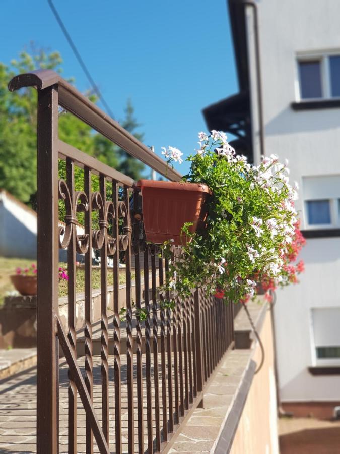 Apartmán Adriana F. Dobreć Exteriér fotografie